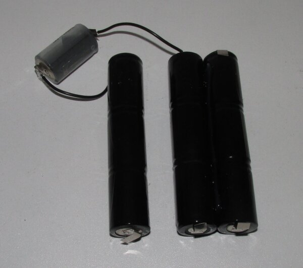 Akkupack für Viva-mate 3 - 12 Volt zum Selbsteinbau
