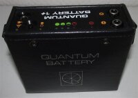 Akkureparatur - Zellentausch - QUANTUM BATTERY 1+ - 6...