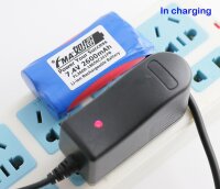Steckerladegerät für 2S Li-Ion / Li-Poly Pack - FCL084-1000 - 7,4 Volt 1000mA