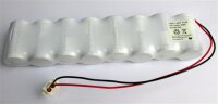 Batteriepack - PA-A509 - AM1F1x8 Mono Pack - 12 Volt 18Ah Alkali-Mangan - Langzeit-Stromversorgung für Warenautomaten