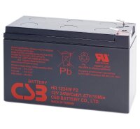 CSB - HR1234W F2 - 12 Volt 9000mAh [C20] Pb - Faston 6,3mm