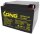 Long - WP24-12 - 12 Volt 24Ah Pb