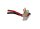 Ersatzakku - CS-SYH7SL - SAMSUNG YP-YH7 / PPSB0606B - 3,7 Volt 970mAh Li-Ion