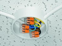 Wago - COMPACT-Verbindungsklemme 2x4mm² mit Betätigungshebel 10 Stück