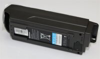 Ersatzakku - Giant 300 CANBUS - 700000020 - 36 Volt 8800mAh Li-Ion