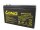 Long - WP1224W - 12 Volt 6000mAh Pb - F2