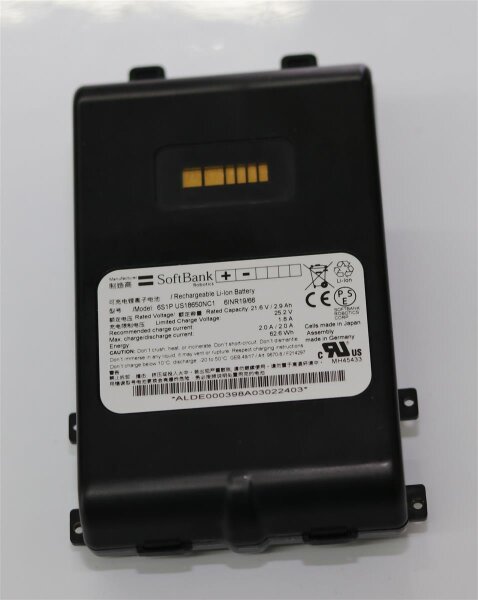 Akkureparatur - Zellentausch - ALDEBARAN / SoftBank 9670-8 - 21,6 Volt Li-Ion