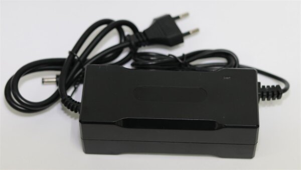 YZPOWER - Ersatzladegerät - für 12S 36 Volt LiFePO4 Akkus - 43,2 Volt 2000mA
