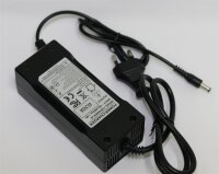YZPOWER - Ersatzladegerät - für 12S 36 Volt LiFePO4 Akkus - 43,2 Volt 2000mA