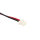 Ersatzakku -  CS-WXE501SL - Wexler YT453949 - 3,7 Volt 800mAh Li-Polymer