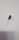 Velleman - 10J0L - Elko Radial 10µF / 100V