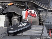 Perel - AC38 - Intelligentes KFZ-Automatikladegerät - Blei 6/12V / LiFePO4 12,8V - 3,8A