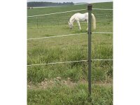 Corral - COR441463 - Metallpfahl T-Post - grün /...