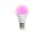 Perel - SMART1200 - RGB Smart-WI-FI-Lampe - Kaltweiß & Warmweiß - E27 - A60