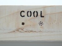 Velleman - VTPY01 - Brandmalkolben 30 W