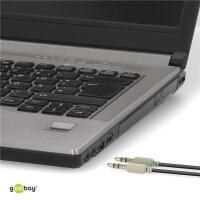 Audio-Adapter (Kopfhörer > Notebook)
