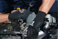 Wonder Grip Dexcut WG-640 XL/10