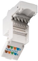 Keystone Modul RJ45 CAT 6, UTP, 250 MHz