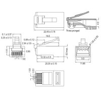 RJ45 Stecker, CAT 6 UTP ungeschirmt
