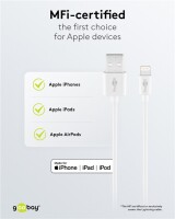Apple Lightning Dual-Ladeset (12 W)