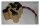 Akkupack  - 9W1300Cs-Z - 10,8 Volt mit Tamiya Stecker