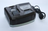 Reparatur - Instandsetzung - Ladegerät CGF 48 LI -...