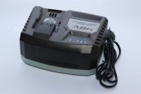 Reparatur - Instandsetzung - Ladegerät CGF 48 LI - für 48 Volt Li-Ion Akku