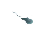Isolierendes Gerstenpapier / Isolierungsaufkleber für 4x 18650 Zellen