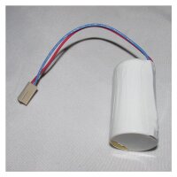 Pufferbatterie - BR-C/SWH25X-NULC-S02 - 3 Volt 5000mAh Li-MnO2